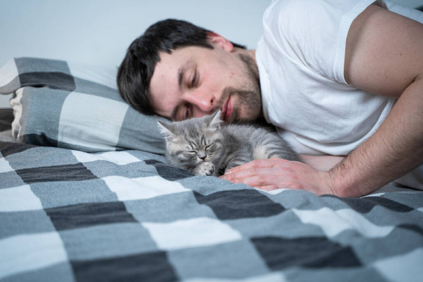 昼寝をしている親友。男はベッドに横になり、英国の小さな子猫と遊ぶ。所有者と家庭用ネコの関係。愛らしい毛皮の子猫スコットランドストレート品種時間とともに男. - 写真・画像