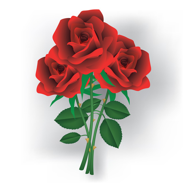 Roses rouges - Vecteur, image