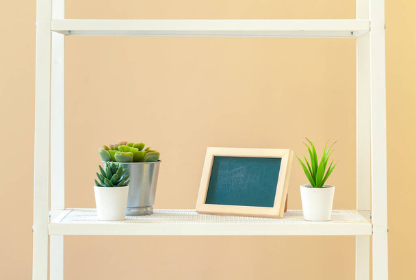 White bookshelf with plant in pot against beige background - Фото, зображення