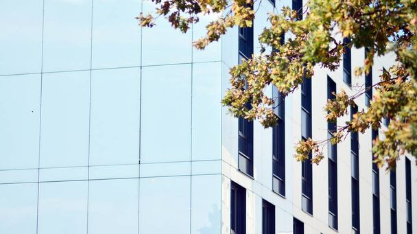 Inspirante vista de la ciudad moderna. La pared del edificio de vidrio y metal contra los árboles. Construcción corporativa y ecología, vista de edificio moderno con cielo azul y árbol verde. Luz solar - Foto, Imagen