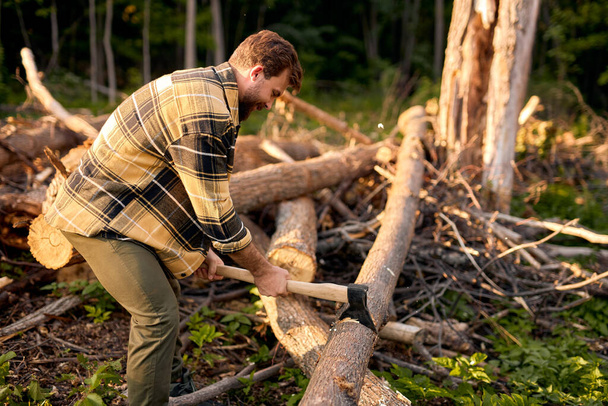 Cutting some firewood. Chopping wood. Ax in male hands. Lumbermans equipment. - Photo, Image