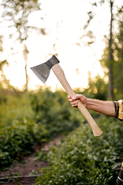 男性の手は木の枝を切断する斧を保持します。コンセプト木材カッター森林伐採. - 写真・画像