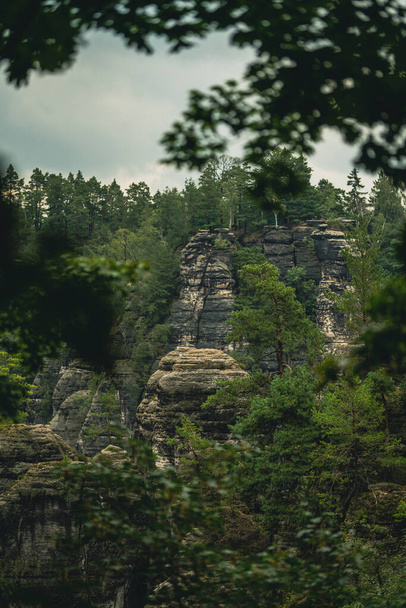 The rocks looking like ancient ruins in the jungle between the trees - Fotografie, Obrázek
