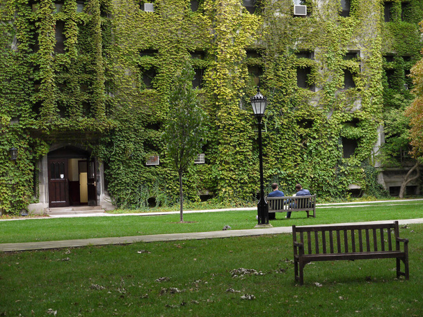 плющ покритий готичним стилем будівлі коледжу
 - Фото, зображення