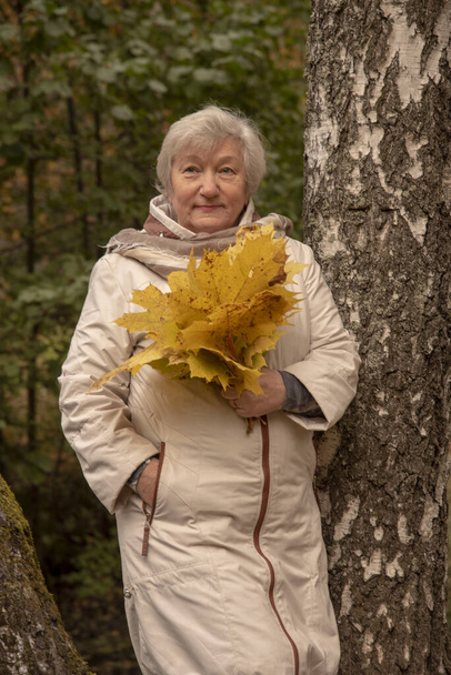 Starsza siwowłosa kobieta w jasnej kurtce spaceruje po parku z bukietem liści. - Zdjęcie, obraz