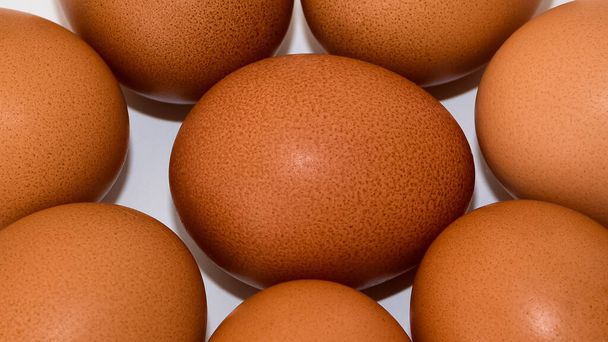 Τηγανίστε το κοτόπουλο αυγά σε λευκό φόντο. - Φωτογραφία, εικόνα