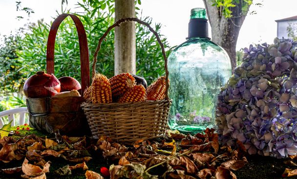 cipolle rosse e pannocchie di mais in cestini di raccolta accanto a un contenitore di vetro, un fiore ortensia foglie secche che annunciano l'autunno - Foto, immagini