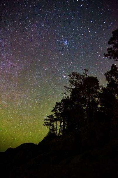Cielo nocturno estrellado con débil resplandor de auroras y silueta de línea forestal - Foto, Imagen
