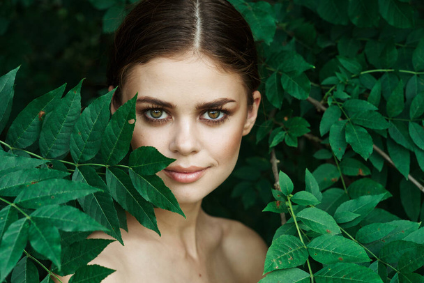 portrait of a woman Cosmetology nature green leaves glamor model - Zdjęcie, obraz