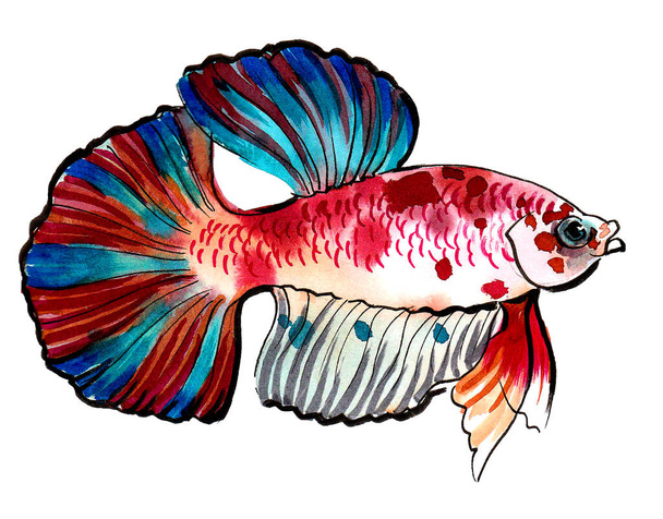 Colorful tropical fish. Ink and watercolor drawing - Фото, изображение