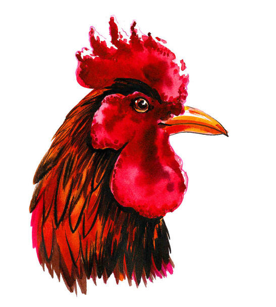 Haan vogel hoofd. Inkt en aquareltekening - Foto, afbeelding