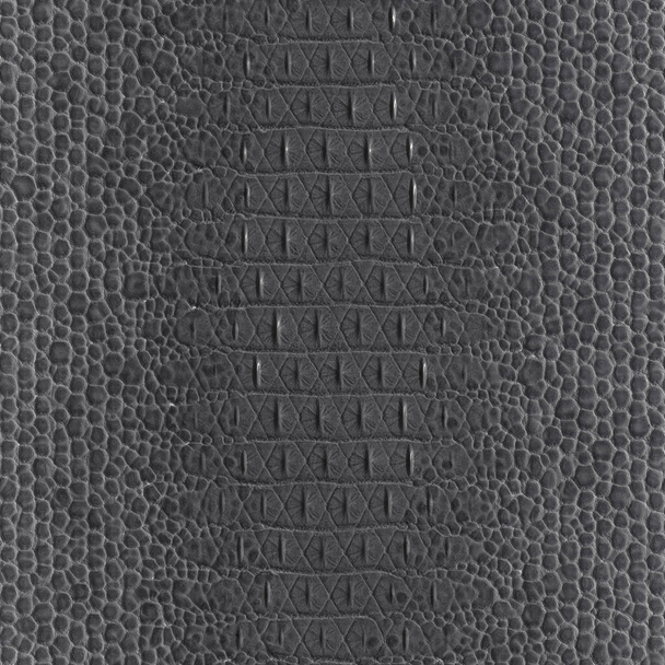 Genuine caiman leather. Gray crocodile skin texture for background. 3D-rendering - Photo, Image
