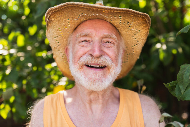 Portrait of senior caucasian man - Fotoğraf, Görsel