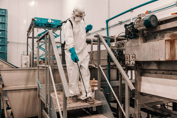 En la fábrica orgánica aislada preventiva, un experto dedicado en un uniforme protector especial limpia la máquina automática con un pulverizador. COVID19 prevención, situación de control del coronavirus - Foto, imagen