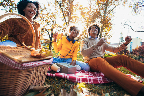 公園でピクニックをしながら楽しんでいる混合家族 - 写真・画像