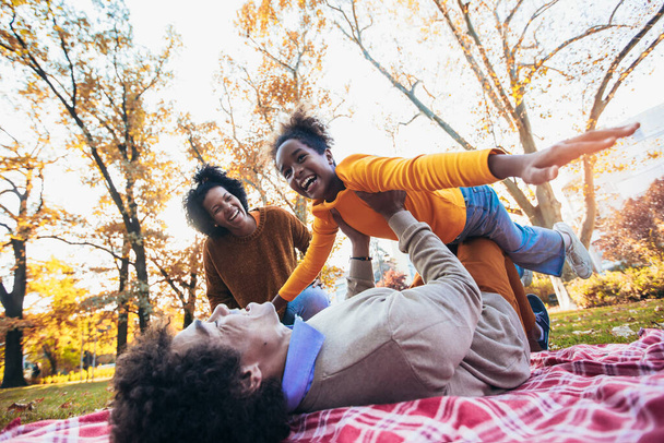 Змішана сім'я розважається під час пікіровки в парку
 - Фото, зображення