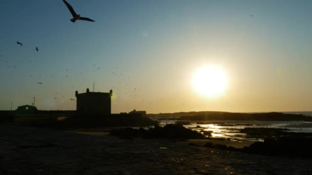 Scala del puerto de Essaouira al atardecer, costa atlántica, Marruecos. Calma material de fondo atmosférico. En cámara lenta.. - Metraje, vídeo