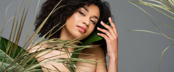 young african american woman with naked shoulders posing near green leaves isolated on grey, banner - Foto, imagen