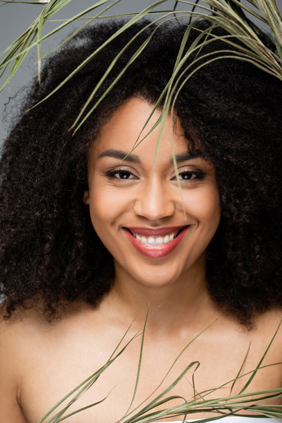 happy african american woman with natural makeup looking at camera near green leaves isolated on grey - Fotografie, Obrázek