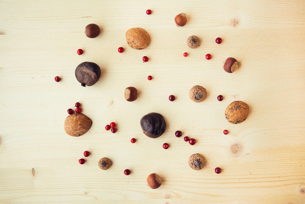 Autumn composition with nuts, chestnuts, wallut shells and pine cones on wooden background, flat lay, top view. - Foto, Bild