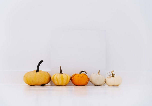 Empty picture frame with autumn pumpkin decor in white interior. Thanksgiving minimal flat lay composition. Cozy clean home holiday design background. - Photo, Image