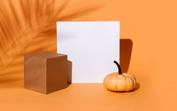 Abstract background composition with geometric shapes and thanksgiving pumpkin decor. Product stage display still life for halloween concept. Minimal design with tropic palm shadow and cubes. - Photo, image