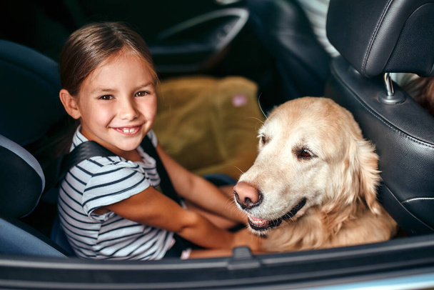 Cute little girl child in a car seat protected by seat belts together with her friend dog labrador going on weekend. Leisure, travel, tourism. - Foto, Imagen