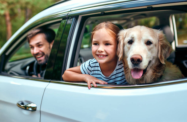 A cute little girl child with her friend dog labrador and parents go to the weekend cheerfully looking out of the car window. Leisure, travel, tourism. - Foto, afbeelding