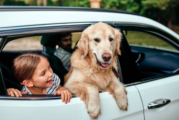 Słodka dziewczynka dziecko ze swoim przyjacielem psem labrador i rodzice iść na weekend radośnie patrząc przez okno samochodu. Wypoczynek, podróże, turystyka. - Zdjęcie, obraz