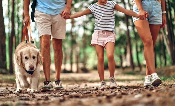 Счастливая семья с рюкзаками и собакой-лабрадором гуляют по лесу. Мама папа и их дочь на выходных. Кемпинг, путешествия, походы. - Фото, изображение
