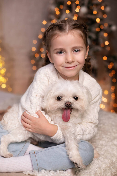 Χαμογελαστό κοριτσάκι αγκαλιάζει μαλτέζικο σκύλο. Όμορφο κοριτσάκι έχει με κοτσίδες στο κεφάλι παίζει με το αγαπημένο της σκυλί στο κρεβάτι. Τα παιδιά και τα ζώα έννοια. Το κορίτσι νοιάζεται για το κατοικίδιο στο σπίτι. Χριστούγεννα - Φωτογραφία, εικόνα