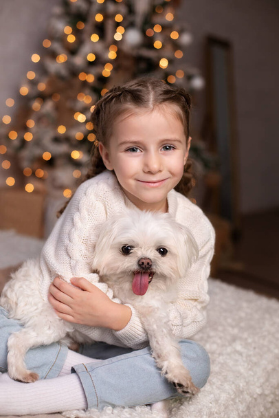 Smiling small girl hugs maltese dog. Beautiful little girl kid has with pigtails on head plays with her favourite dog on bed. Children and animals concept. Girl cares about pet at home. Christmas - Φωτογραφία, εικόνα