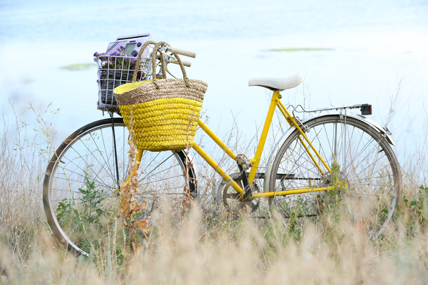 Bicycle with basket of flowers in meadow during sunset  - Фото, изображение
