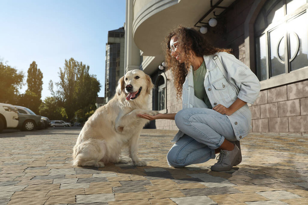 Young African-American woman and her Golden Retriever dog outdoors - Foto, Imagem