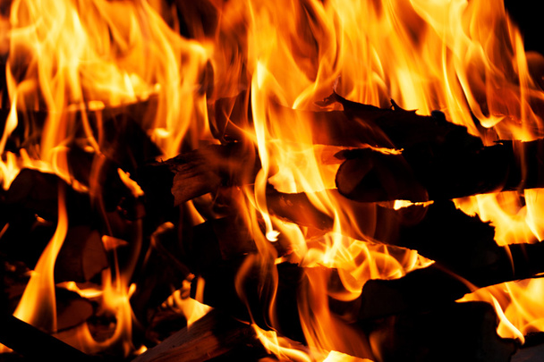 Closeup details of bonfire - Photo, Image
