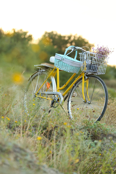 Bicycle in meadow during sunset  - Fotó, kép
