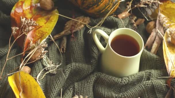 fondo de otoño con hojas, hierba seca, calabaza, nueces y taza de té en manta de punto, estado de ánimo de otoño, hola concepto de otoño - Imágenes, Vídeo
