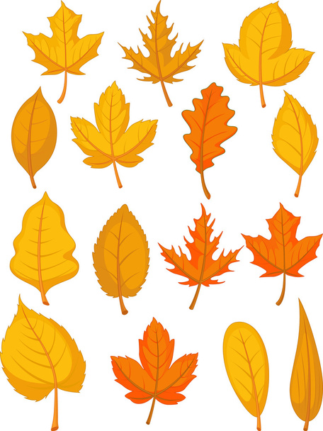 Leaves Set - Red Autumn Leaves - Vector, Image