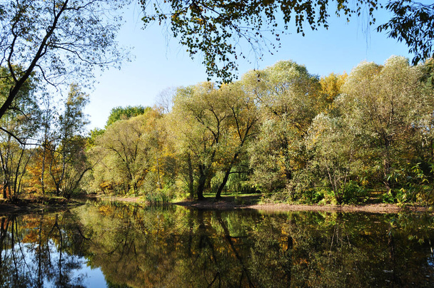 Autumn landscape. Panorama of a forest lake. Trees are reflected in the pond water. - Fotoğraf, Görsel