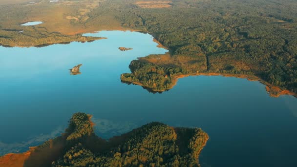 Zöld tűlevelű erdő nő Lake Coastside 4K. Aerial View Of Lakes Folyók Partja és Vidéki táj. Fenyőerdő a tájban naplementekor nyáron. Erdők - Felvétel, videó