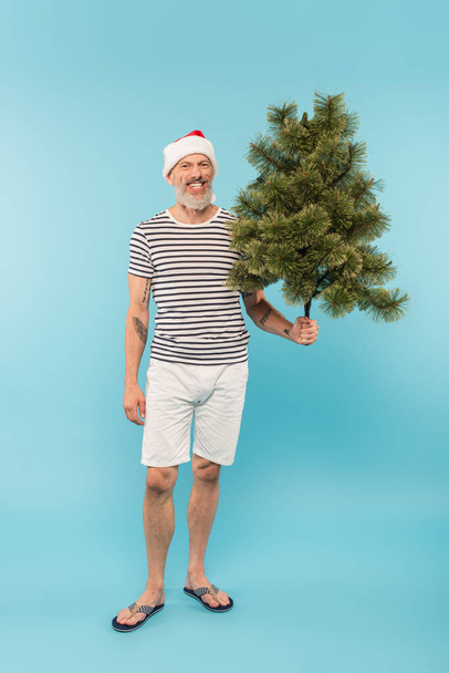 happy middle aged man in stiped t-shirt and santa hat holding christmas tree on blue - Photo, Image