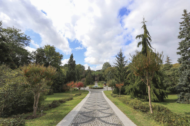 Istanbul - Das Turkey Arboretum oder Baumpark ist im Wesentlichen ein botanischer Garten, der sich dem Anbau von Bäumen und anderen Gehölzen wie Sträuchern und Sträuchern widmet.. - Foto, Bild
