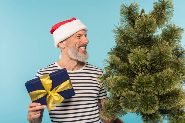 felice uomo di mezza età in t-shirt stipato e cappello di Babbo Natale con albero di Natale e scatola regalo isolato su blu - Foto, immagini