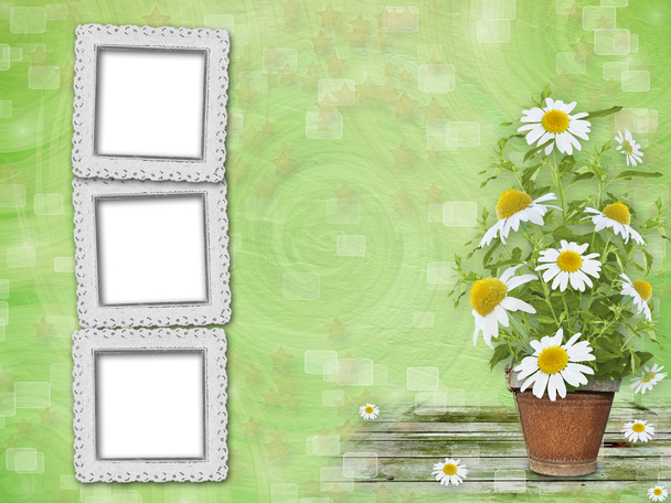 Grunge frames with beautiful bunch of daisy for design - Photo, Image