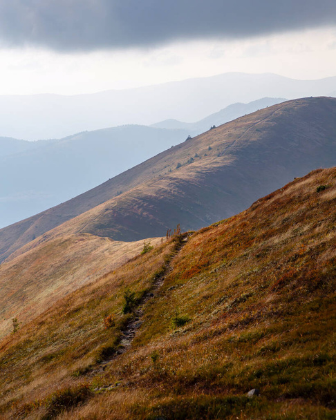 Beautiful autumn mountains in the Carpathians. A walk in the mountains in sunny weather.  - Fotografie, Obrázek