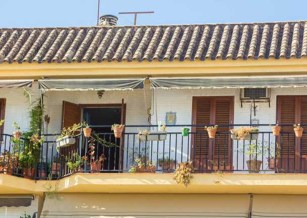 Типичные окна с решетками и декоративными цветами в городе Кордова, Испания
 - Фото, изображение
