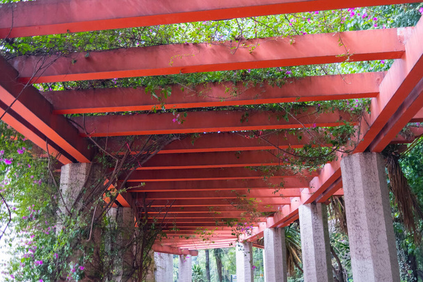 Oszlopokkal körülvett folyosó, piros pergola alatt a parkban - Fotó, kép
