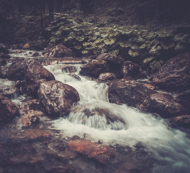 Fast mountain river in a forest - Foto, Bild