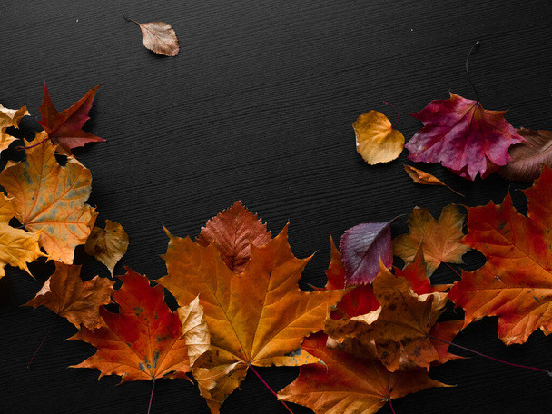 Fallen autumn leaves in the shape of a border, copy space for your text. - Фото, изображение