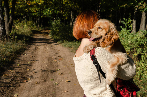 Femme Z jeune génération méconnaissable aux cheveux courts voyageant à travers la forêt d'automne avec son chien cocker anglais dans le sac à dos.  - Photo, image